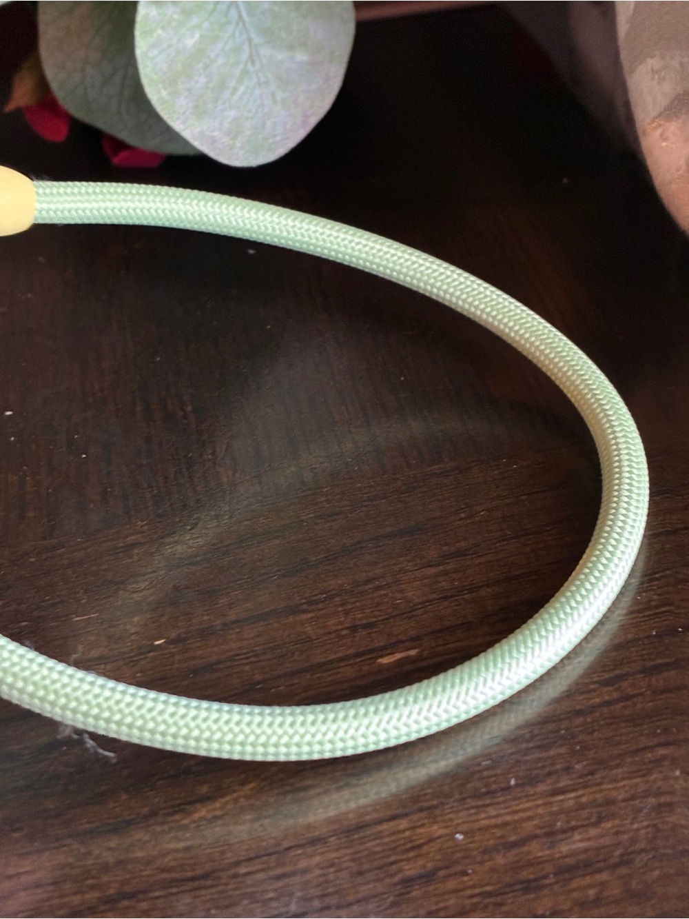 Strawberry Shortcake USB-C Keychain Charging Cable - Green 24” - Picture 9 of 11